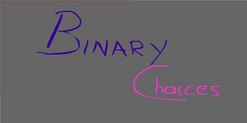 Cover image for Binary Choices