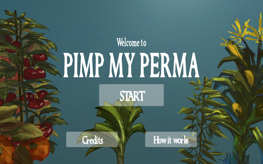 Cover image for Pimp My Perma