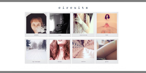Cover image for c i r c u i t s