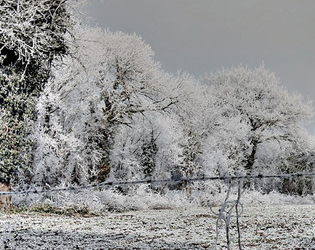 Winter's Heart