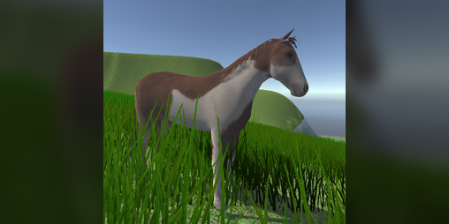 Cover image for A Horse and his Mail