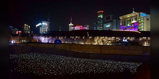 Cover image for Dongdaemun Lights