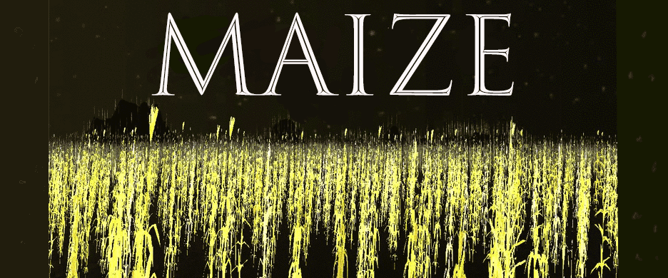 Maize