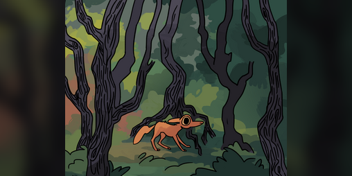 Cover image for Coy