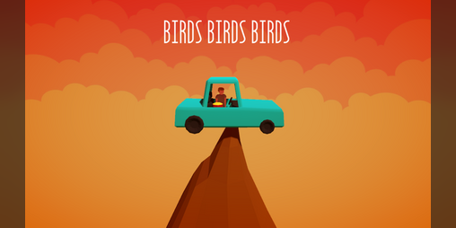 Cover image for Birds Birds Birds