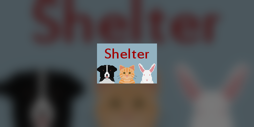 Cover image for Shelter