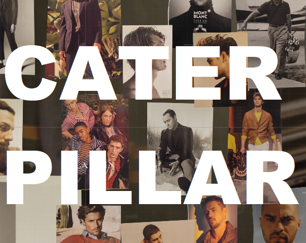 Cover image for Caterpillar