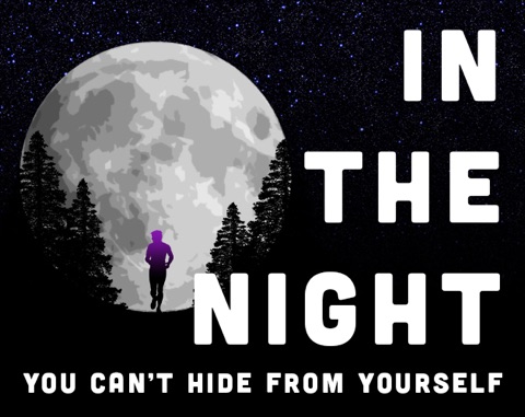 Cover image for In the Night You Can't Hide From Yourself