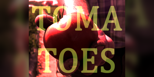 Cover image for Tomatoes