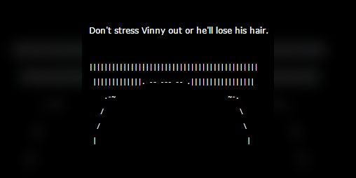 Cover image for Vinny's Head