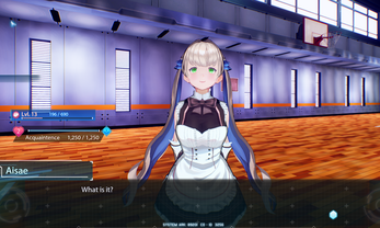 [日系/PC/SLG]方舟计划[5.4G]