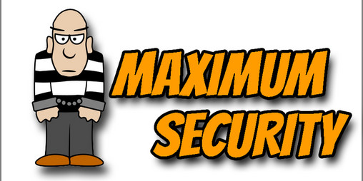 Cover image for Maximum Security