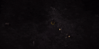 Top-down view of a dark forest with a character holding a lantern, surrounded by glowing lights and shadows.