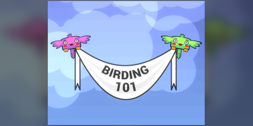 Cover image for Birding 101