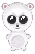 Cover image for Polar Bear