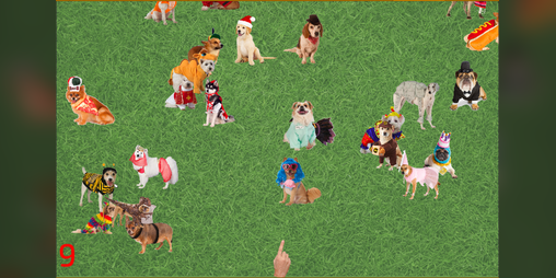 Cover image for Look at that Dog!