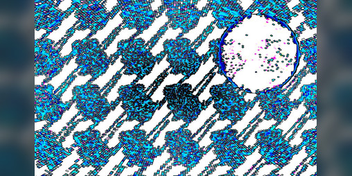 Cover image for A nightmare for epileptics