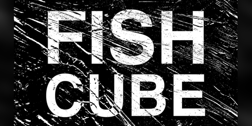 Cover image for FISHCUBE