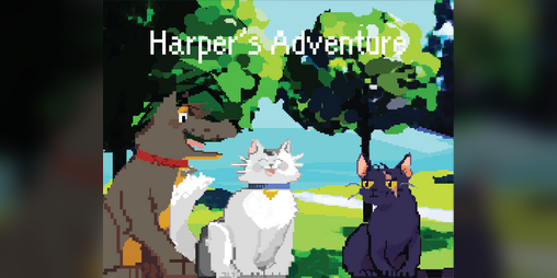 Cover image for Harper's Adventure