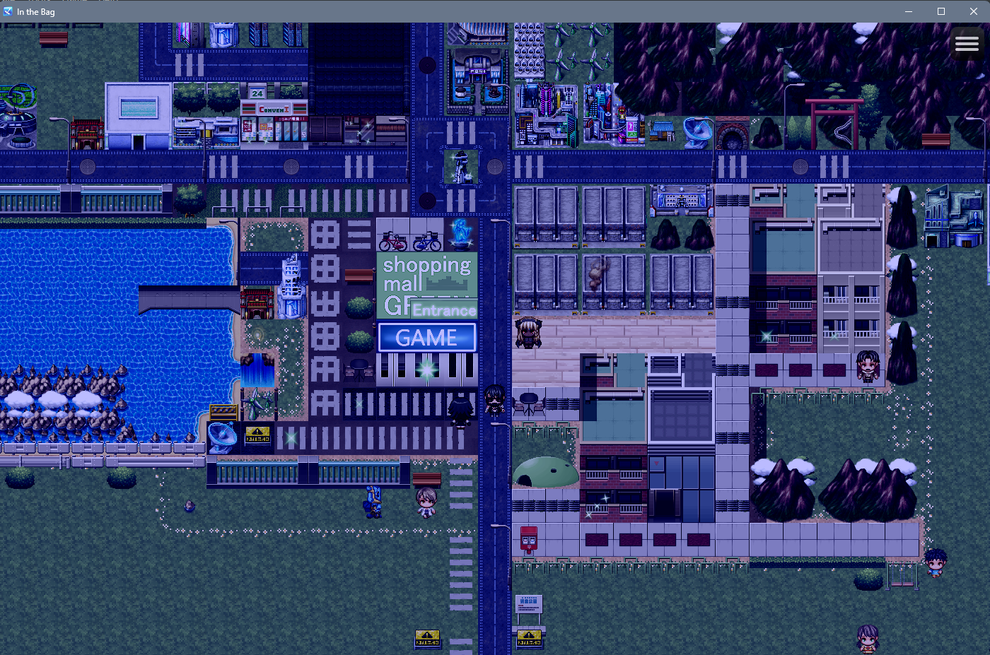 Screenshot 8 for In the Bag - Public Edition