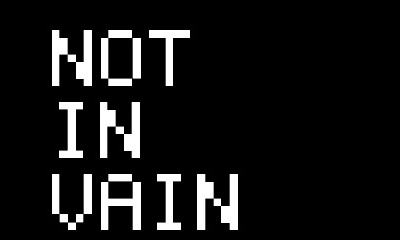 Cover image for Not In Vain
