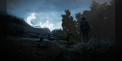 Cover image for Evie