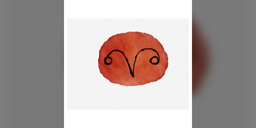 Cover image for A Soft Small Thing.