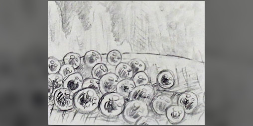 Cover image for bug eggs