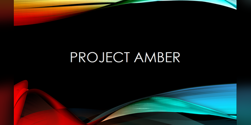 Cover image for Project Amber