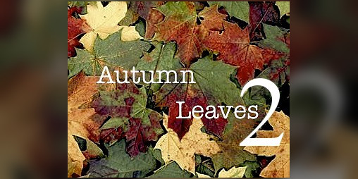 Cover image for Autumn Leaves II