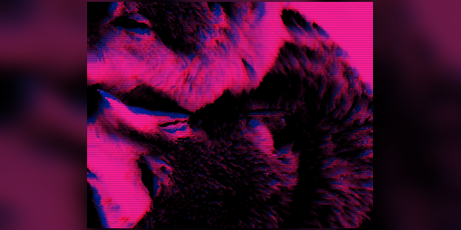 Cover image for Wolfgirls In Love