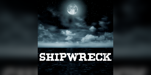 Cover image for SHIPWRECK