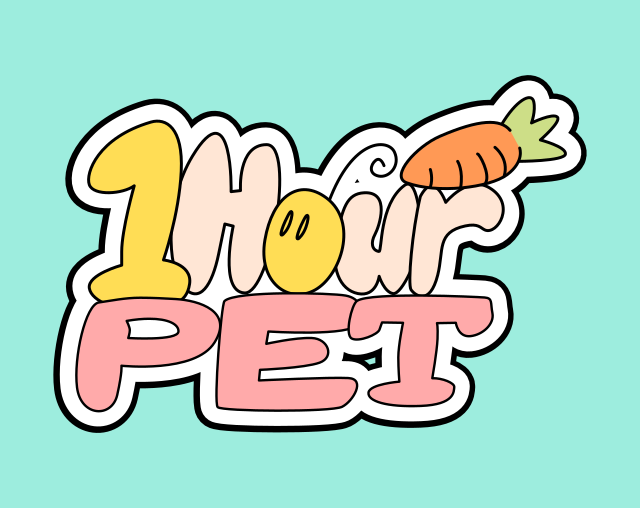 Cover image for 1HourPet