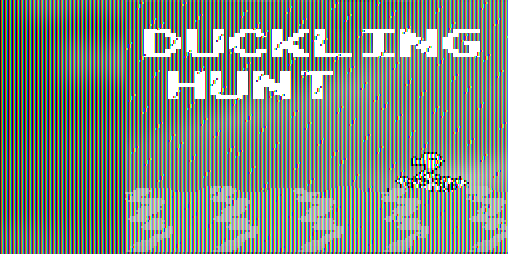 Cover image for Duckling Hunt