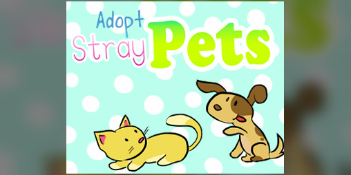 Cover image for Adopt Stray Pets