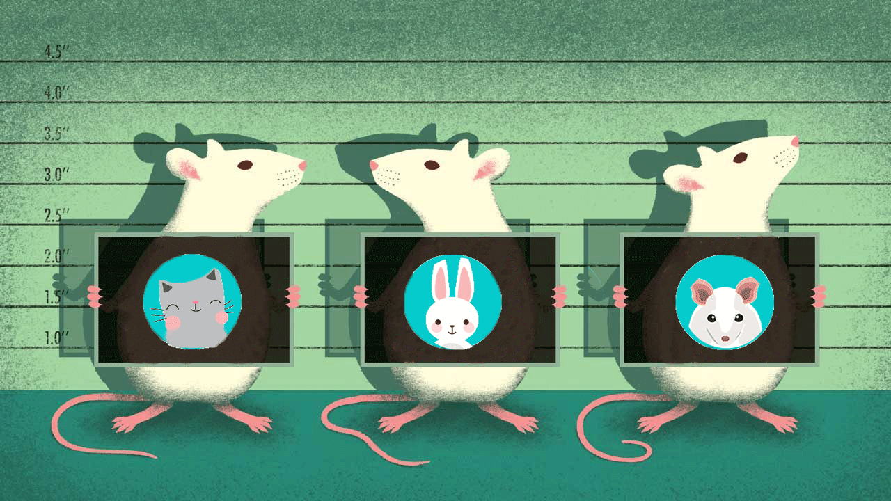 WayOfMouse