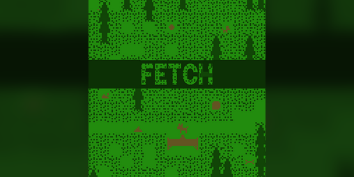 Cover image for Fetch
