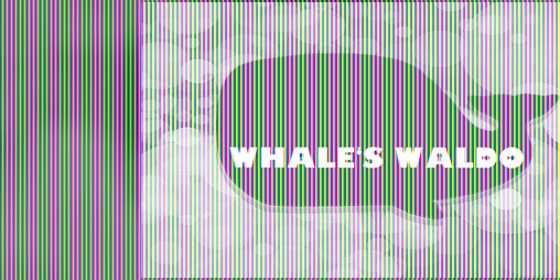 Cover image for Whale's Waldo