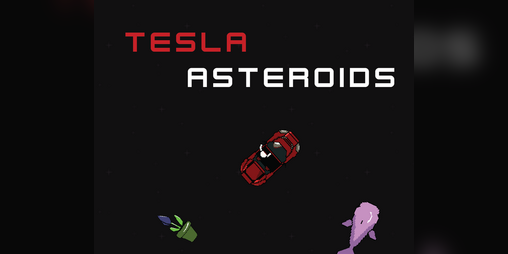 Cover image for Tesla Asteroids