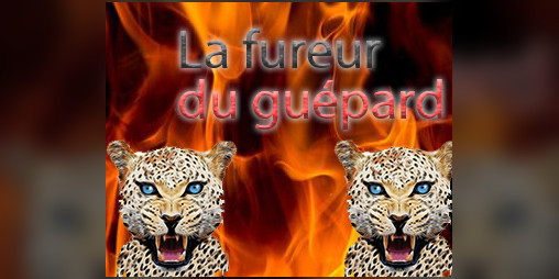 Cover image for La fureur du Guepard
