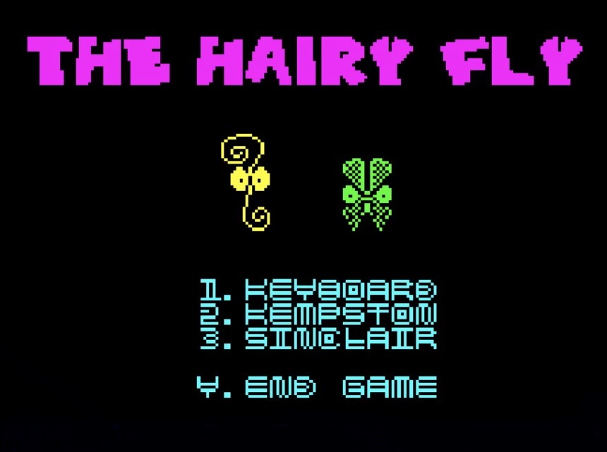 Screenshot 2 for THE HAIRY FLY