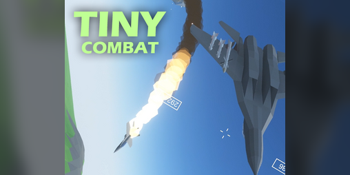 Cover image for Tiny Combat