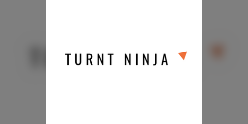 Cover image for Turnt Ninja