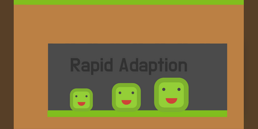 Cover image for Rapid Adaption