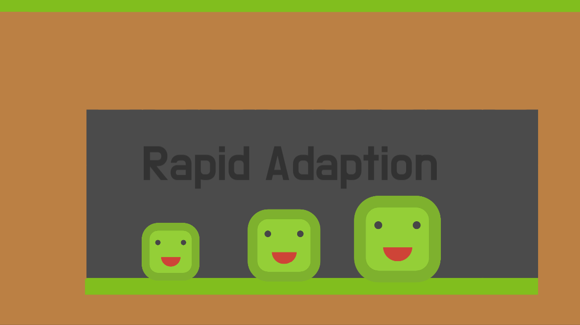 Cover image for Rapid Adaption