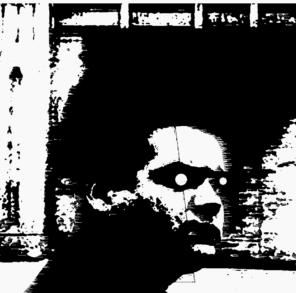 Torn - Ludum Dare 41 cover
