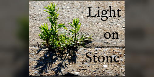 Cover image for Light on Stone