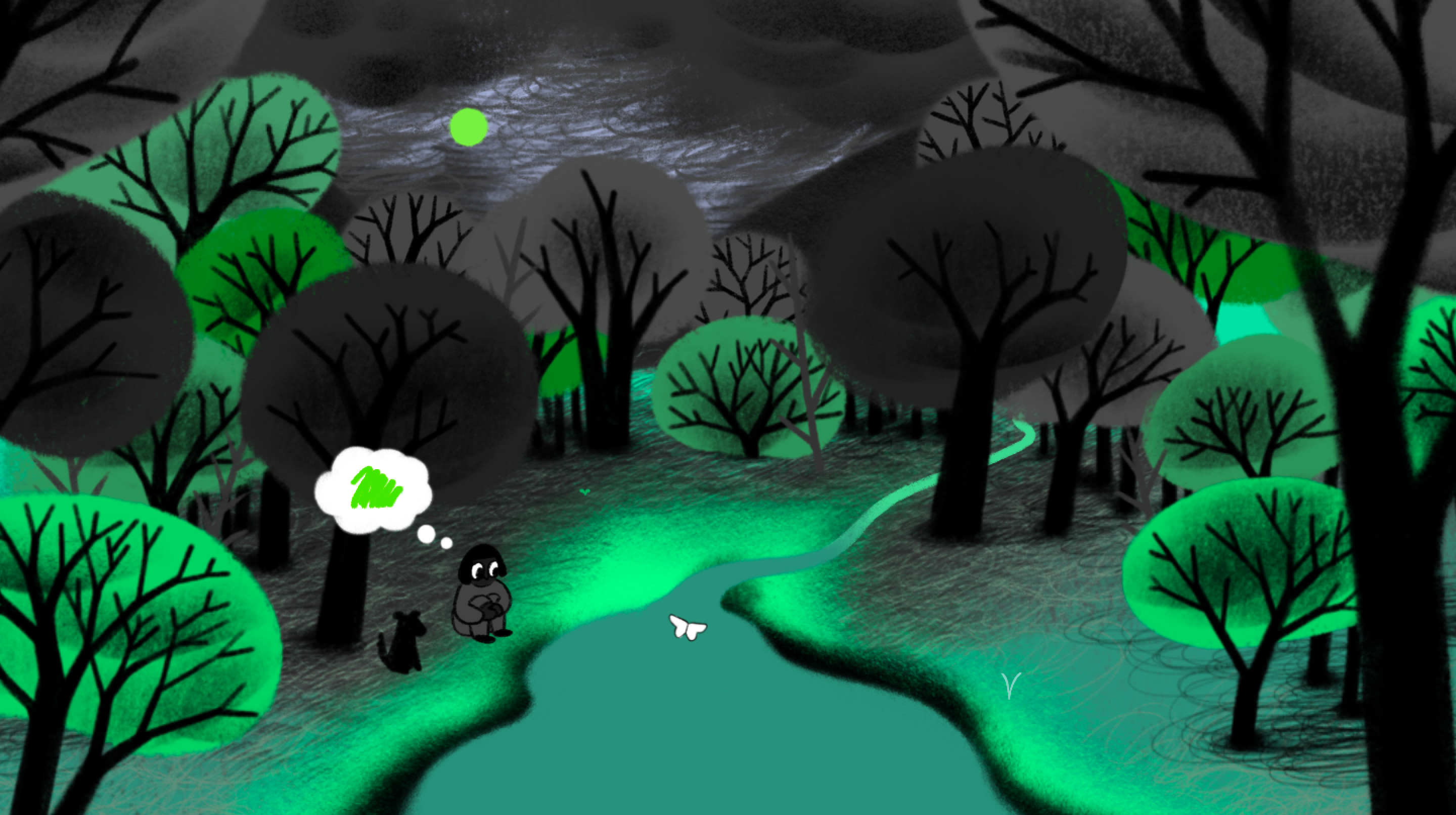 Cover image for The Colorfly