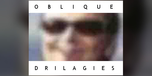 Cover image for Oblique Drilagies