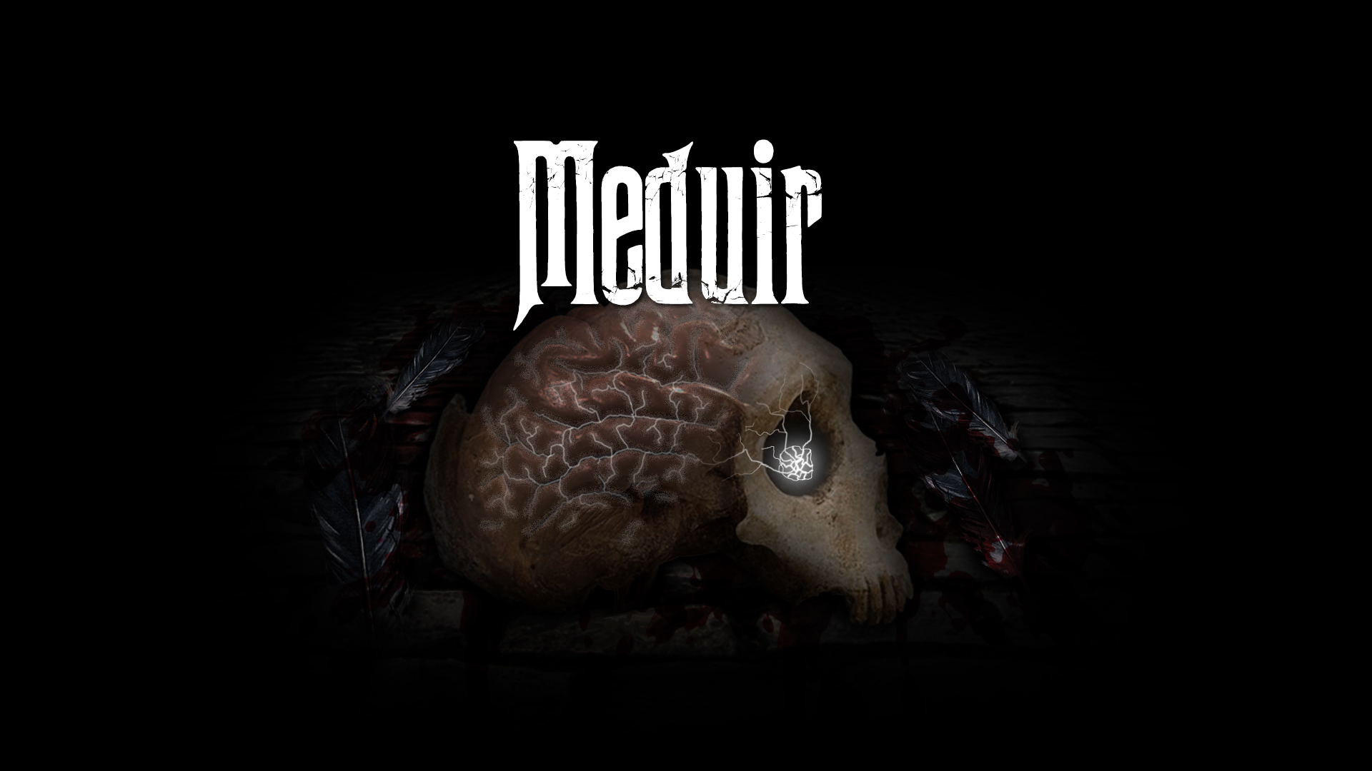 Cover image for Meduir